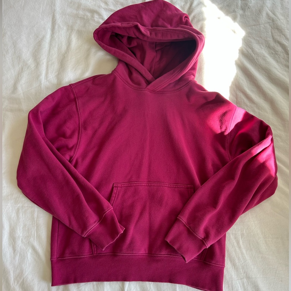 Aritzia Hoodie